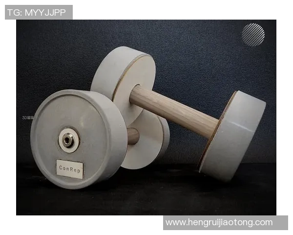 批发健身器材助力健康生活选择多样价格优惠满足不同需求