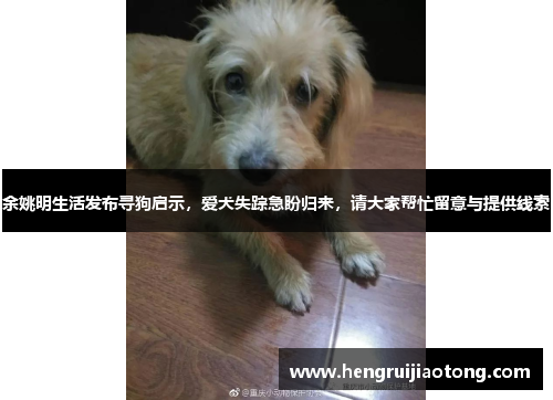 余姚明生活发布寻狗启示，爱犬失踪急盼归来，请大家帮忙留意与提供线索